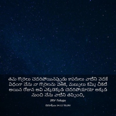 Picture 03 - యెహెజ్కేలు 34:12 TELIRV - తమ గొర్రెలు - Bible Verse Picture