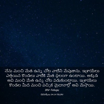 Picture 03 - యెహెజ్కేలు 34:14 TELIRV - నేను మంచి మేత ఉన్న - Bible Verse Picture