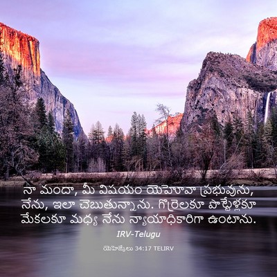 Picture 03 - యెహెజ్కేలు 34:17 TELIRV - నా మందా, మీ విషయం - Bible Verse Picture