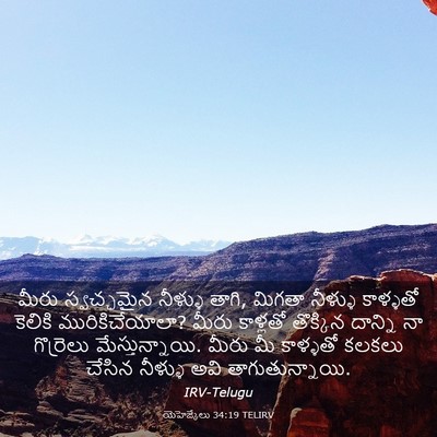 Picture 03 - యెహెజ్కేలు 34:19 TELIRV - మీరు స్వచ్ఛమైన - Bible Verse Picture