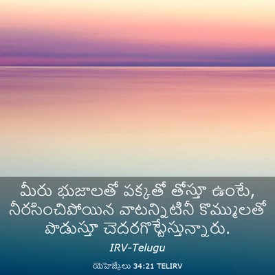 Picture 03 - యెహెజ్కేలు 34:21 TELIRV - మీరు భుజాలతో - Bible Verse Picture