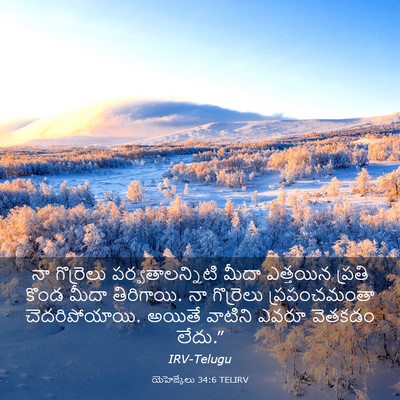 Picture 03 - యెహెజ్కేలు 34:6 TELIRV - నా గొర్రెలు - Bible Verse Picture
