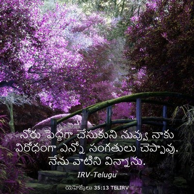 Picture 03 - యెహెజ్కేలు 35:13 TELIRV - నోరు పెద్దగా - Bible Verse Picture