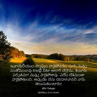 Picture 03 - యెహెజ్కేలు 35:15 TELIRV - ఇశ్రాయేలీయుల - Bible Verse Picture