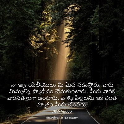 Picture 03 - యెహెజ్కేలు 36:12 TELIRV - నా ఇశ్రాయేలీయులు - Bible Verse Picture