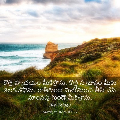 Picture 03 - యెహెజ్కేలు 36:26 TELIRV - కొత్త హృదయం - Bible Verse Picture