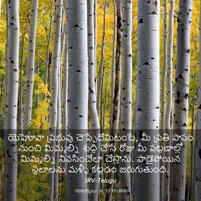 Picture 03 - యెహెజ్కేలు 36:33 TELIRV - యెహోవా ప్రభువు - Bible Verse Picture