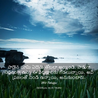 Picture 03 - యెహెజ్కేలు 36:35 TELIRV - పాడైన భూమి ఏదెను - Bible Verse Picture