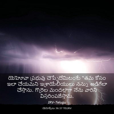 Picture 03 - యెహెజ్కేలు 36:37 TELIRV - యెహోవా ప్రభువు - Bible Verse Picture