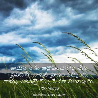 Picture 03 - యెహెజ్కేలు 37:10 TELIRV - ఆయన నాకు - Bible Verse Picture