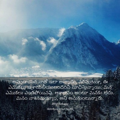 Picture 03 - యెహెజ్కేలు 37:11 TELIRV - అప్పుడాయన నాతో - Bible Verse Picture
