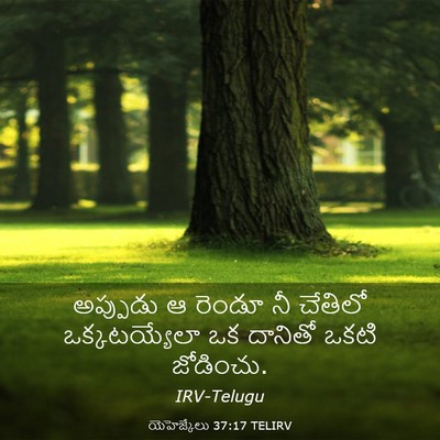 Picture 03 - యెహెజ్కేలు 37:17 TELIRV - అప్పుడు ఆ రెండూ నీ - Bible Verse Picture