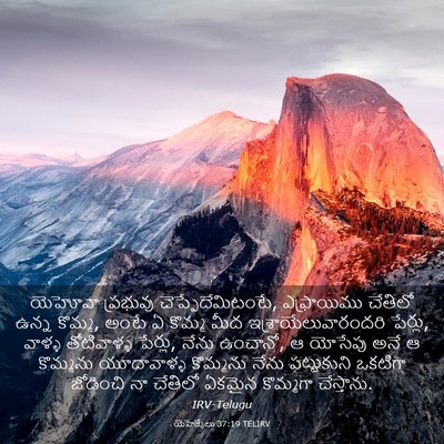 Picture 03 - యెహెజ్కేలు 37:19 TELIRV - యెహోవా ప్రభువు - Bible Verse Picture