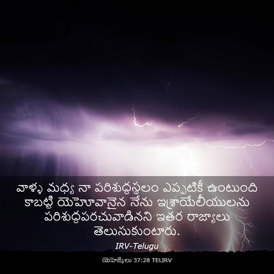 Picture 03 - యెహెజ్కేలు 37:28 TELIRV - వాళ్ళ మధ్య నా - Bible Verse Picture