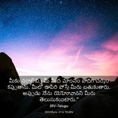 Picture 03 - యెహెజ్కేలు 37:6 TELIRV - మీకు నరాలిచ్చి మీ - Bible Verse Picture