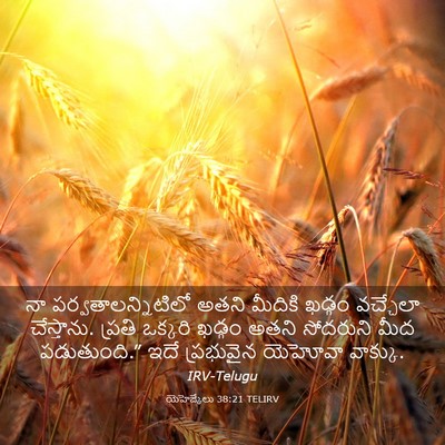 Picture 03 - యెహెజ్కేలు 38:21 TELIRV - నా - Bible Verse Picture