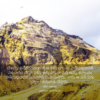 Picture 03 - యెహెజ్కేలు 39:14 TELIRV - దేశాన్ని - Bible Verse Picture
