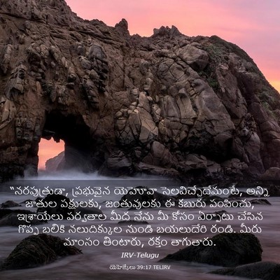 Picture 03 - యెహెజ్కేలు 39:17 TELIRV - “నరపుత్రుడా, - Bible Verse Picture