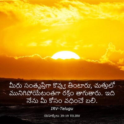 Picture 03 - యెహెజ్కేలు 39:19 TELIRV - మీరు సంతృప్తిగా - Bible Verse Picture