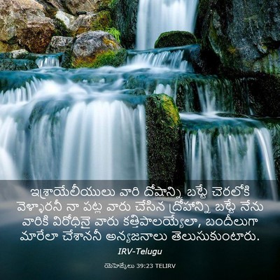 Picture 03 - యెహెజ్కేలు 39:23 TELIRV - ఇశ్రాయేలీయులు - Bible Verse Picture