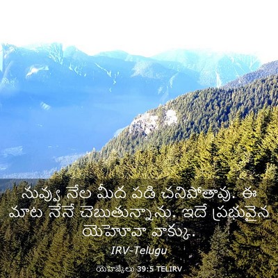 Picture 03 - యెహెజ్కేలు 39:5 TELIRV - నువ్వు నేల మీద పడి - Bible Verse Picture