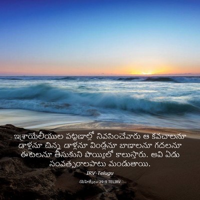 Picture 03 - యెహెజ్కేలు 39:9 TELIRV - ఇశ్రాయేలీయుల - Bible Verse Picture