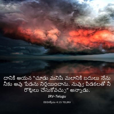 Picture 03 - యెహెజ్కేలు 4:15 TELIRV - దానికి ఆయన “చూడు - Bible Verse Picture