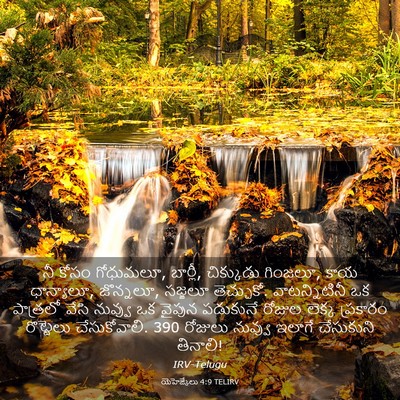 Picture 03 - యెహెజ్కేలు 4:9 TELIRV - నీ కోసం గోధుమలూ, - Bible Verse Picture