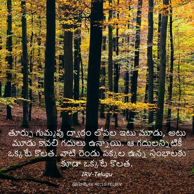 Picture 03 - యెహెజ్కేలు 40:10 TELIRV - తూర్పు గుమ్మపు - Bible Verse Picture