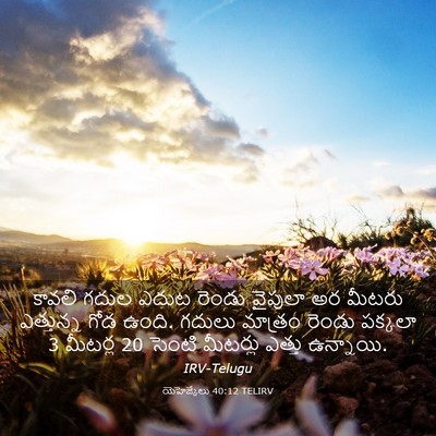 Picture 03 - యెహెజ్కేలు 40:12 TELIRV - కావలి గదుల ఎదుట - Bible Verse Picture