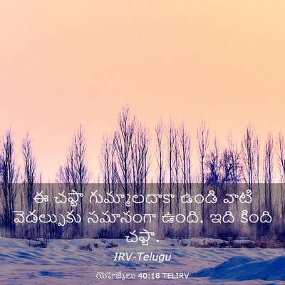 Picture 03 - యెహెజ్కేలు 40:18 TELIRV - ఈ చప్టా - Bible Verse Picture
