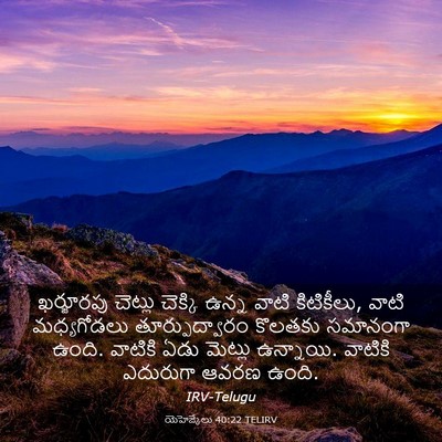 Picture 03 - యెహెజ్కేలు 40:22 TELIRV - ఖర్జూరపు చెట్లు - Bible Verse Picture