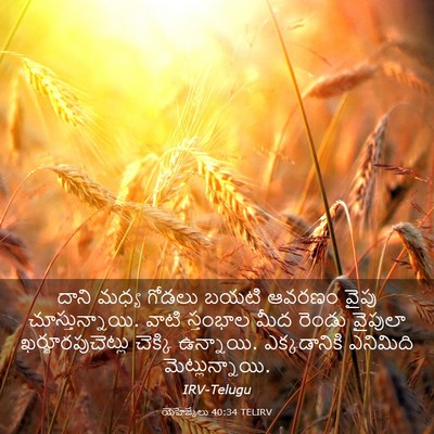Picture 03 - యెహెజ్కేలు 40:34 TELIRV - దాని మధ్య గోడలు - Bible Verse Picture