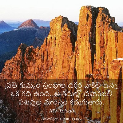 Picture 03 - యెహెజ్కేలు 40:38 TELIRV - ప్రతి గుమ్మం - Bible Verse Picture