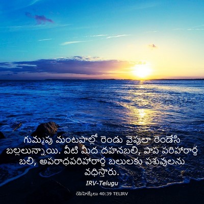 Picture 03 - యెహెజ్కేలు 40:39 TELIRV - గుమ్మపు మంటపాల్లో - Bible Verse Picture