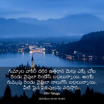 Picture 03 - యెహెజ్కేలు 40:40 TELIRV - గుమ్మాల వాకిలి - Bible Verse Picture