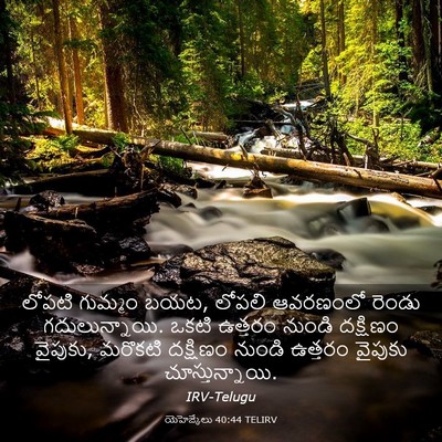 Picture 03 - యెహెజ్కేలు 40:44 TELIRV - లోపటి గుమ్మం బయట, - Bible Verse Picture