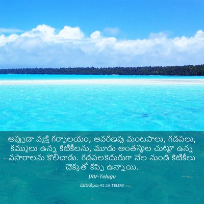Picture 03 - యెహెజ్కేలు 41:16 TELIRV - అప్పుడా వ్యక్తి - Bible Verse Picture