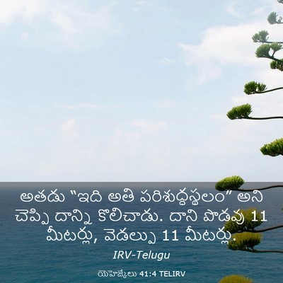 Picture 03 - యెహెజ్కేలు 41:4 TELIRV - అతడు “ఇది అతి - Bible Verse Picture