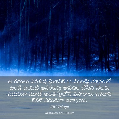 Picture 03 - యెహెజ్కేలు 42:3 TELIRV - ఆ గదులు పరిశుద్ధ - Bible Verse Picture