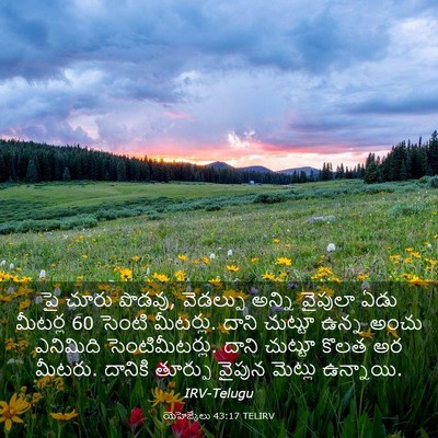 Picture 03 - యెహెజ్కేలు 43:17 TELIRV - పై చూరు పొడవు, - Bible Verse Picture