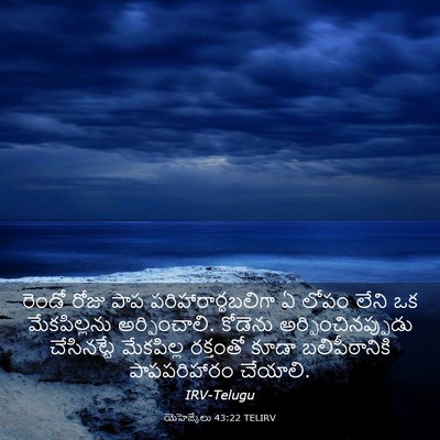 Picture 03 - యెహెజ్కేలు 43:22 TELIRV - రెండో రోజు పాప - Bible Verse Picture