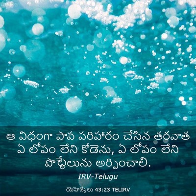 Picture 03 - యెహెజ్కేలు 43:23 TELIRV - ఆ విధంగా పాప - Bible Verse Picture