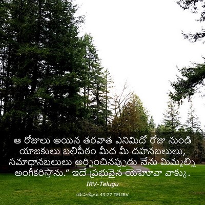 Picture 03 - యెహెజ్కేలు 43:27 TELIRV - ఆ రోజులు అయిన - Bible Verse Picture