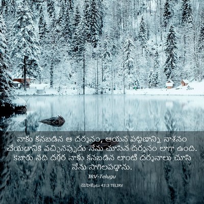 Picture 03 - యెహెజ్కేలు 43:3 TELIRV - నాకు కనబడిన ఆ - Bible Verse Picture