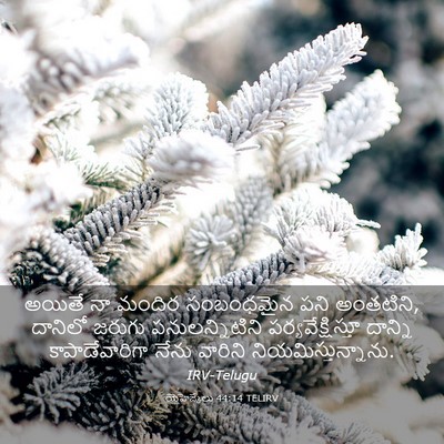 Picture 03 - యెహెజ్కేలు 44:14 TELIRV - అయితే నా మందిర - Bible Verse Picture