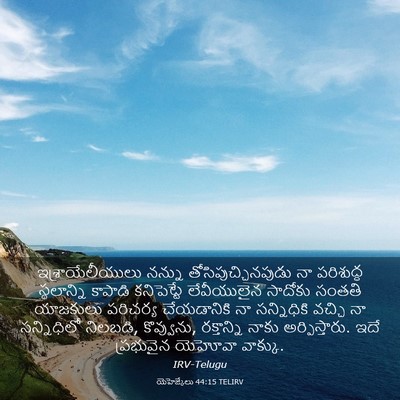 Picture 03 - యెహెజ్కేలు 44:15 TELIRV - ఇశ్రాయేలీయులు - Bible Verse Picture