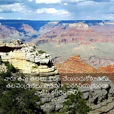 Picture 03 - యెహెజ్కేలు 44:20 TELIRV - వారు తమ తలలు - Bible Verse Picture