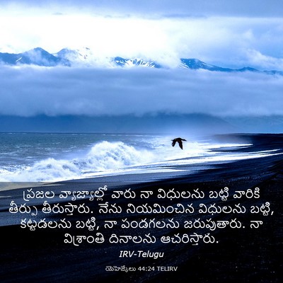 Picture 03 - యెహెజ్కేలు 44:24 TELIRV - ప్రజల - Bible Verse Picture