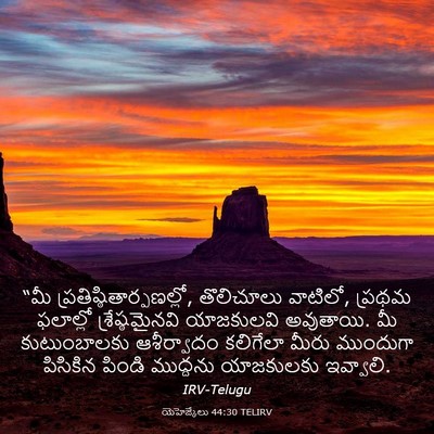 Picture 03 - యెహెజ్కేలు 44:30 TELIRV - “మీ - Bible Verse Picture